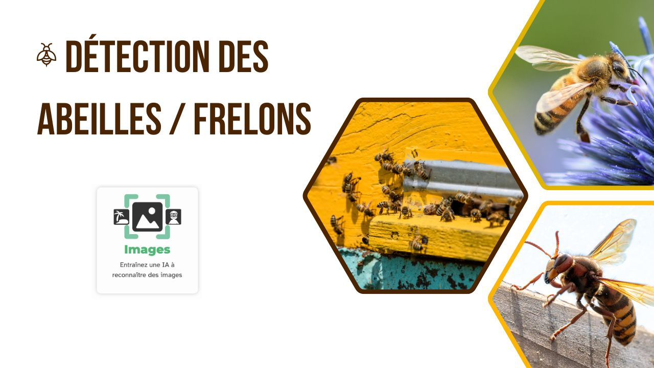 Détection des abeilles vs frelons